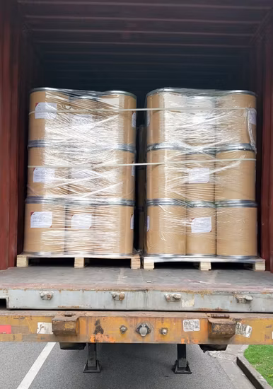 Compresse Disintegranti Crospovidone XL